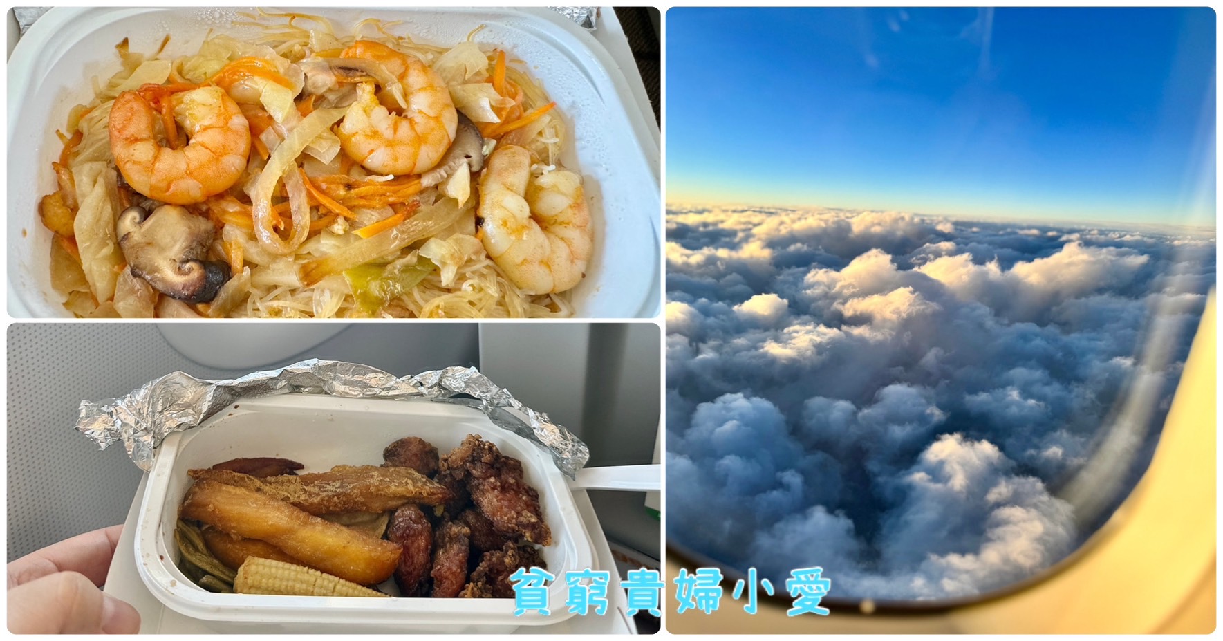[台灣虎航飛機餐-CTS新千歲]飛機上也能吃到米其林餐點!!小小樹食，米其林綠星推薦。 @貧窮貴婦小愛的吃喝玩樂育兒日記