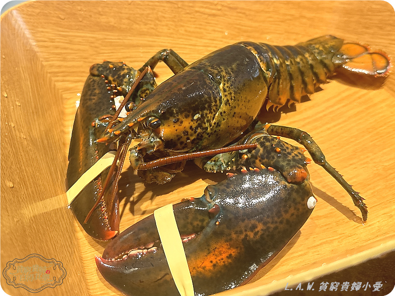 [中壢美食]福叁鍋物~肉質鮮美+新鮮海鮮，連餐後甜點也很用心。 @貧窮貴婦小愛的吃喝玩樂育兒日記