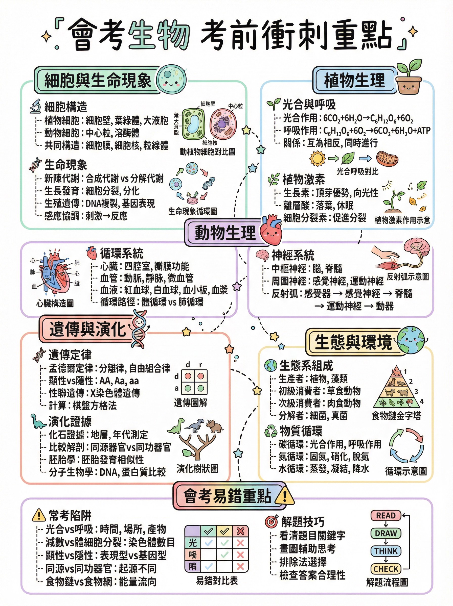 會考生物圖解筆記｜重點總整理（系列第 1 篇） @貧窮貴婦小愛的吃喝玩樂育兒日記
