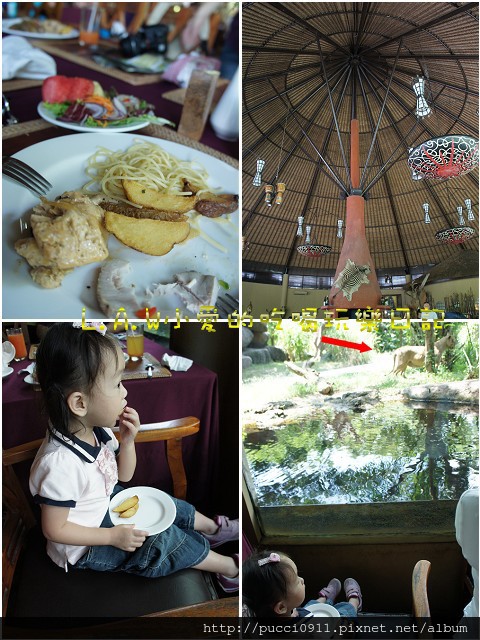 [印尼景觀餐廳。峇里島]跟獅子一起吃午餐@Tsavo Lion @貧窮貴婦小愛的吃喝玩樂育兒日記