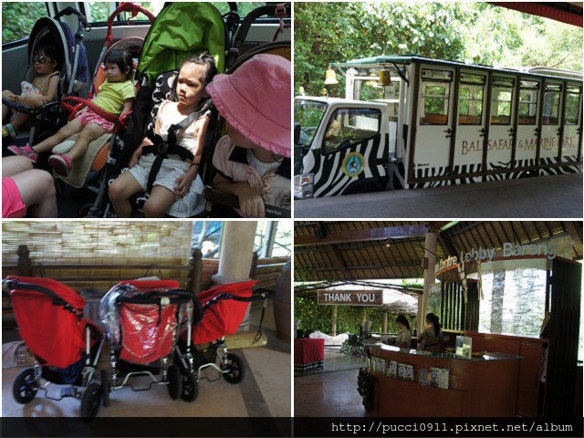 東南亞[峇里島BALI@Day3。2012]Bali Safari &#038; Marine Park 野生動物園 &#038;跟獅子一起午餐 @貧窮貴婦小愛的吃喝玩樂育兒日記