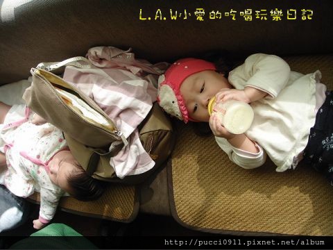 [Wing8M@寶寶聚會]UKFriancy baby Party@綠光森林★ @貧窮貴婦小愛的吃喝玩樂育兒日記