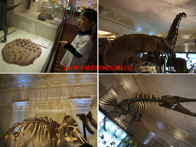 [台北親子小旅行]台灣博物館+土銀展覽館(看恐龍) @貧窮貴婦小愛的吃喝玩樂育兒日記