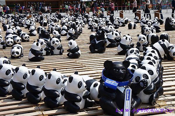 [365X087][RONG2Y10M@百年兔寶PG096]參觀1600熊貓之旅~台北 @貧窮貴婦小愛的吃喝玩樂育兒日記